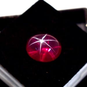 Può includere: Una gemma di rubino a stella ovale e lucidata. La gemma rosso intenso presenta un motivo a stella a sei raggi, su uno sfondo di velluto nero. Il rubino è tagliato a cabochon, con una superficie liscia e arrotondata.