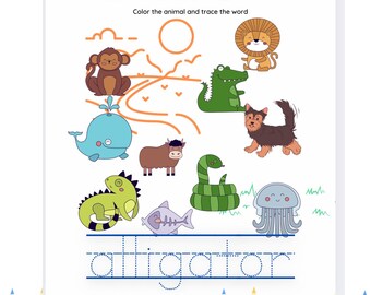 Coogam Cartes De Coloriage à L'eau Alphabet – 26 Lettres Et Mots – Réutilisables, Sans Gâchis – Dès 3 Ans