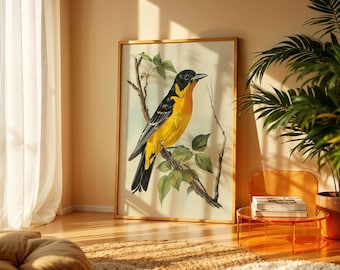 鳥アートプリント HU32 美しい大きなアンティークダークスロート