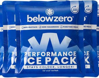 Gel Ice Packs Addition To Keep Perishable Items Cold