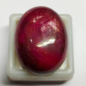 以下が含まれることがあります： 磨かれた楕円形のルビーの宝石。この宝石は、深みのある豊かな赤色で、微妙な内部模様と光沢のある表面を持っています。小さな白いプラスチックホルダーに収められています。