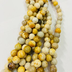 AAA Quality Fossil Coral Beads | 6mm 8mm Smooth Round | 15” Strand | Genuine Natural Coral Gemstone Beads