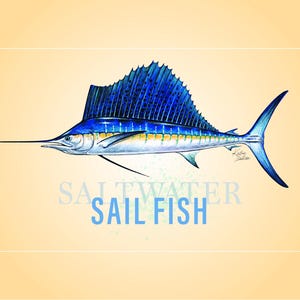 Pesca sportiva di pesci d'acqua salata provenienti dalle regioni costiere. Tarpon, Marlin blu, Pesce vela, Delfino, Tamburo rosso, Spigola, Passera di mare, Sgombro reale