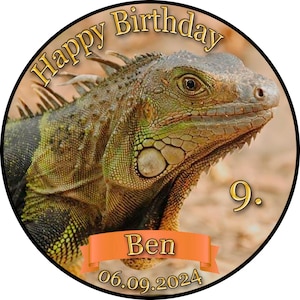 Cake topper cake decoration photo cake cake picture birthday party iguana iguanas LE01 (sugar paper)