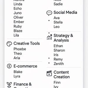 Op de afbeelding: Een witte afbeelding met verschillende zakelijke en marketingcategorie&euml;n, waaronder Business & Marketing, Productiviteit & Management, Social Media, Strategie & Analyse, Creative Tools, E-commerce, Financi&euml;n & Operaties en Persoonlijk. Namen worden vermeld.