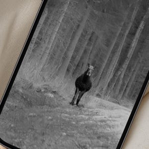 May include: A set of three ceramic nesting bowls in shades of blue, green, and white. The bowls feature a speckled glaze and a simple, modern design. The largest bowl is approximately 6 inches in diameter.