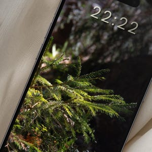 May include: A smartphone displays a nature-themed wallpaper with a close-up of green pine needles and the time 22:22. The phone rests on a cream-colored fabric next to dried white flowers and wooden sticks.