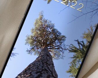 Pine Tree Phone Wallpaper | iPhone Android Lock Screen Home Screen ...