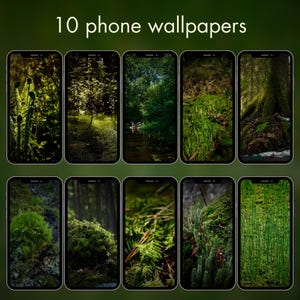 Phone Wallpaper Bundle Enchanted Mossy Forest | Dark Green iPhone Background Set | Moody Android Lock Screen Photography (Digital Download)