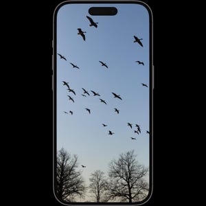 May include: A white ceramic mug with a black handle and the text "But First, Coffee" in a bold, black font. The mug is set against a blurred background, suggesting a cozy setting.