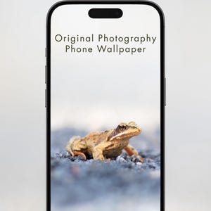 May include: A phone displaying a nature-themed wallpaper. The wallpaper features a close-up of a brown frog with golden eyes on a textured surface. The phone screen displays the text "Original Photography Phone Wallpaper".