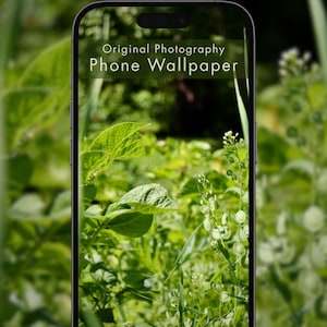 Op de afbeelding: Een smartphone toont een telefoonachtergrond met een natuurthema. De achtergrond toont een levendig groen veld met planten en bladeren, met de tekst "Original Photography Phone Wallpaper" bovenaan. De afbeelding is een close-up van de planten, met een vage achtergrond.