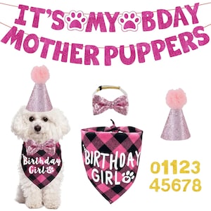 Kit de aniversário para cachorro – Bandana, chapéu e gravata borboleta com faixa &quot;É meu aniversário&quot; para cachorros