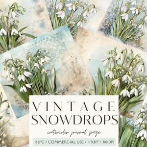 Può includere: Una collezione di pagine di diario ad acquerello in stile vintage con illustrazioni di bucaneve. Le pagine hanno un aspetto morbido e invecchiato con una tavolozza di colori azzurro chiaro e beige. Il testo "VINTAGE SNOWDROPS" è ben visibile.