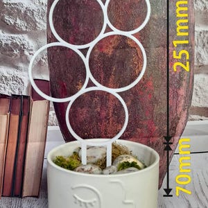 Bubbles Indoor Plant Trellis | Geometric Support for Climbing Houseplants