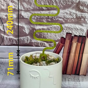 Snake Indoor Plant Trellis | Geometric Support for Climbing Houseplants