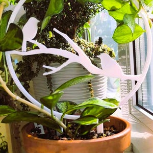 Birds Indoor Plant Trellis | Geometric Support for Climbing Houseplants