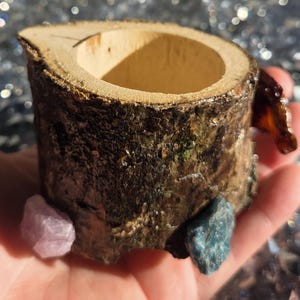 Tiny Natural Terrarium Enclosure Pot