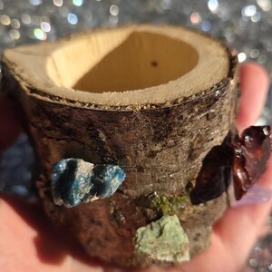 Klein, natuurlijk terrariumpotje