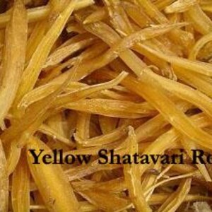 K&ouml;nnte beinhalten: Nahaufnahme von getrockneten gelben Shatavari-Wurzelst&uuml;cken. Das Bild zeigt zahlreiche, unregelm&auml;&szlig;ig geformte St&uuml;cke der Wurzel in hellgelber Farbe. Der Text "Yellow Shatavari Root" wird in schwarzer, fetter Schrift am unteren Bildrand angezeigt.