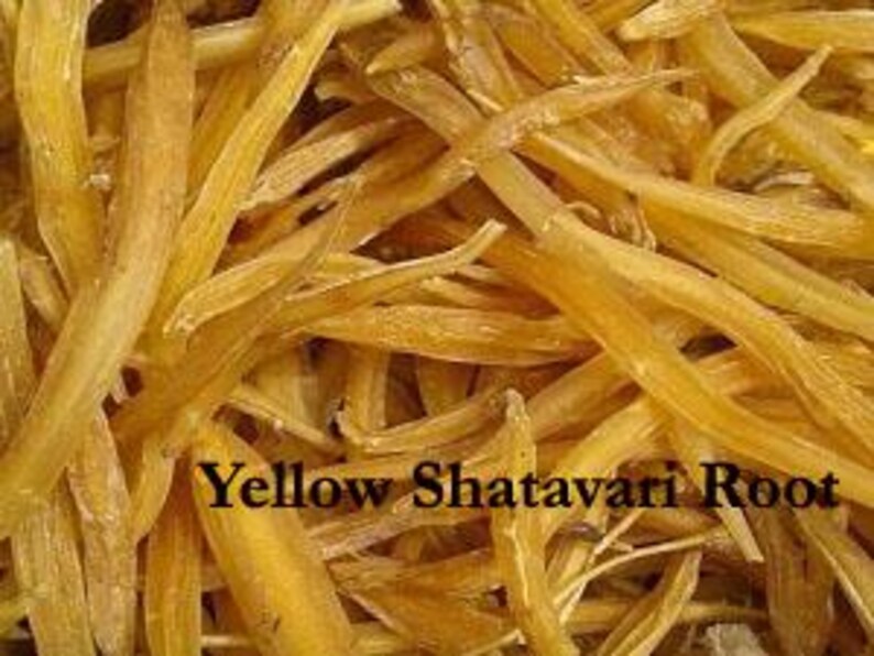 K&ouml;nnte beinhalten: Nahaufnahme von getrockneten gelben Shatavari-Wurzelst&uuml;cken. Das Bild zeigt zahlreiche, unregelm&auml;&szlig;ig geformte St&uuml;cke der Wurzel in hellgelber Farbe. Der Text "Yellow Shatavari Root" wird in schwarzer, fetter Schrift am unteren Bildrand angezeigt.