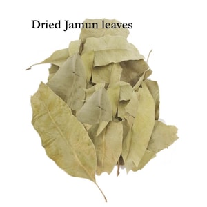 May include: A collection of dried Jamun leaves, pale brown in hue, set against a white backdrop. The leaves vary in size and form, displaying visible veins and a subtly textured surface. The text at the top reads "Dried Jamun leaves."
