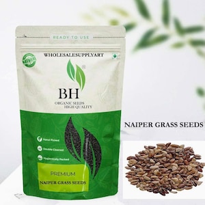 Bio Napier Grass, Elefantengras Samen, Pennisetum purpureum - Futterpflanze - Outdoor - Gras - Bio Samen