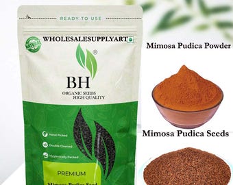 Organic Mimosa Pudica Seeds - Lajwanti Chui Mui - Natural Lajvanti Beej