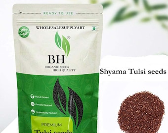 Bio Shyama Tulsi Samen: Heiliges Basilikum, Krishna Tulsi