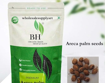 Dypsis Lutescens Frön: Gyllene sockerrörspalm, Arekapalm