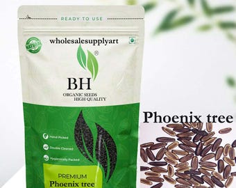 Organic Delonix Regia Seeds: Royal Poinciana Flame Tree