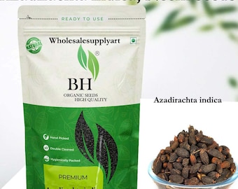 Organic Azadirachta indica, Neem Tree, Nim, Margosa, Indian Lilac neem seed nimboli seeds