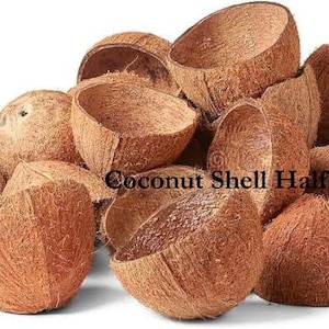 Puede incluir: Un conjunto de mitades de cáscaras de coco marrones, con una textura áspera y fibrosa. La imagen incluye el texto "Coconut Shell Half". Estas cáscaras naturales probablemente se utilizan para manualidades o decoración.