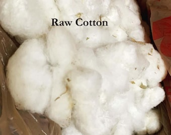 Organic Raw Cotton, Unprocessed Cotton for Crafts, Puja