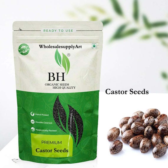 Organic Castor Seeds: Whole, Pure Seeds for Planting