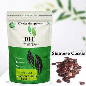 Organic Siamese Cassia, Kassod, Cassia Siamea, Senna Siamea, Thailand Shower, Johar, Jahor, Busuk-Busuk, Petai Belalang Seeds