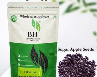 Semillas naturales de chirimoya, semillas de frutas tropicales para jardinería doméstica.