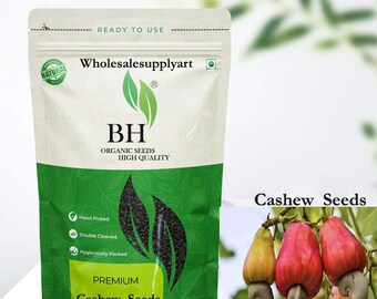 カシューナッツの種子 / カシューナッツ / 植え付け用種子5個 - Etsy 日本