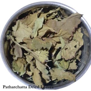 Kalanchoe pinnata Powder, Leaf of Life Powder, Kalanchoe Pinnata powder, Miracle Leaf powder