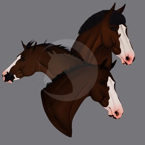 3 Bay Horse PNG Sublimation Digital Download Stunning Equine Make Gifts for Horse or Animal Lovers Headstudy Bay Horse Clipart Original Art