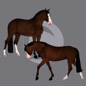2 Bay Horses PNG Sublimation Digital Download Equine Make Gifts Horse Animal Lovers Standing Walking Bay Horse Clipart Original Art