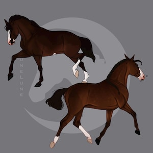 2 Bay Horses PNG Sublimation Digital Download Equine Make Lovely Gift for Horse Animal Lovers Standing Dark Brown Horse Clipart Original Art