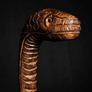 May include: A wooden cane featuring a carved cobra head. The snake's head is intricately detailed with scales and a carved mouth. The cane is dark brown and has a curved neck.