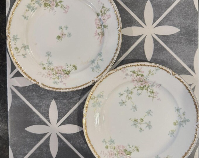 Antique Haviland Limoges Plates – Set of 2 – Pink & Blue Floral Pattern with Gold Trim – France ca. 1894–1931