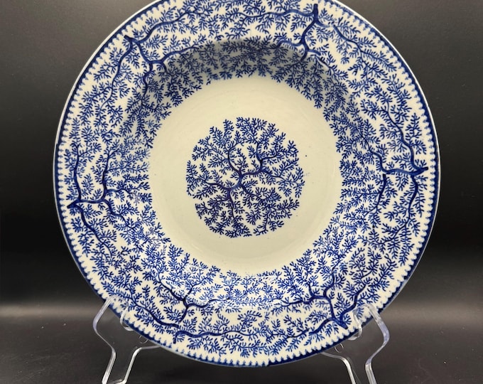 Vintage Woolworth England Blue Calico Transferware Bowl Plate 8.75in Fibre