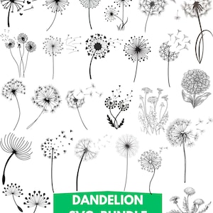 May include: A collection of black and white dandelion illustrations in various stages of bloom and seed dispersal. The image includes the text "Dandelion SVG Bundle" in a green rectangle, suitable for digital art projects.