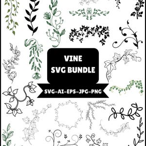 Puede incluir: Una colección de varios diseños de vid en negro, verde y blanco. La imagen incluye patrones florales y de hojas, con el texto "VINE SVG BUNDLE" e información del tipo de archivo.