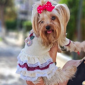 Hand Knit Dog Dress for Small Dogs – Ruffle Outfit for Yorkie, Chihuahua, Pomeranian – Warm Winter Sweater Dress Girl Dog Clothes