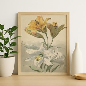 Vintage Botanical Lily Print, Tiger Lily and White Lily Wall Art, Floral Illustration - Antique Flower Poster for Gallery Wall #46