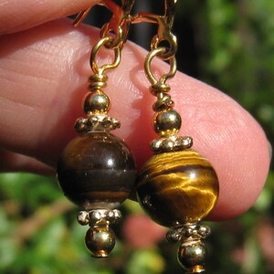 May include: Gold tone earrings with tiger's eye gemstone beads.